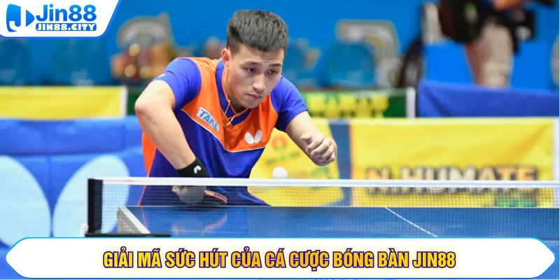 Giải mã sức hút của cá cược bóng bàn JIN88